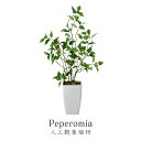 【クーポン10%オフ 8/24 0時-8/25 24時】 観葉植物 人工観葉植物 フェイクグリーン ペペロミア