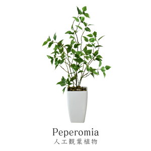 観葉植物 人工観葉植物 フェイクグリーン ペペロミア 送料無料