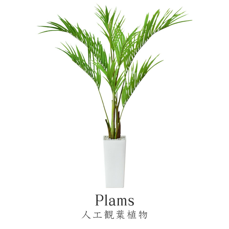 楽天remembrance-doris【15％OFFクーポン 5/15 0時-24時】 人工観葉植物 フェイクグリーン 観葉植物 プラム 造花 光触媒 5号 鉢 水やり不要 インテリア お祝い 誕生日 出産内祝い お返し 結婚 父 母 男性 女性 彼氏 彼女 お祝い お礼 贈り物 プレゼント プラム