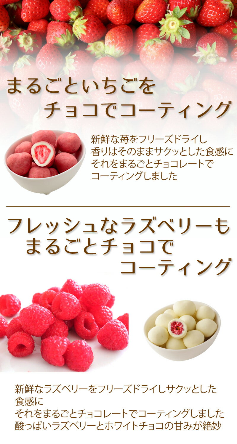 �ۥ磻�ȥǡ�����ѥå������ڥ��ȥ��٥꡼���饺�٥꡼���祳���1�ĸ����� ���祳�졼�� �Х�󥿥���