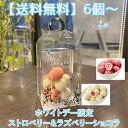 【送料無料】6個以上ご注文から ホワイトデー限定パッケージ【ストロベリー&ラズベリーショコラ】個包装 チョコレート バレンタイン