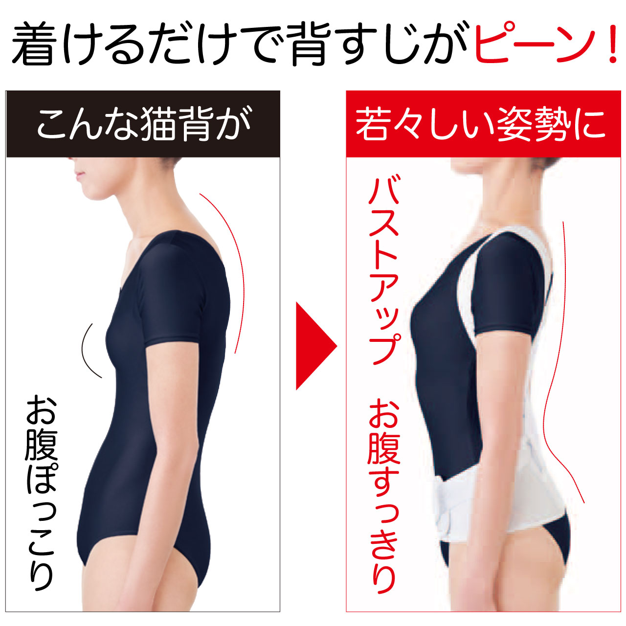 お医者さんのがっちり背筋ベルト 男女兼用 背すじ 腰 肩甲骨 猫背 バストアップ 姿...