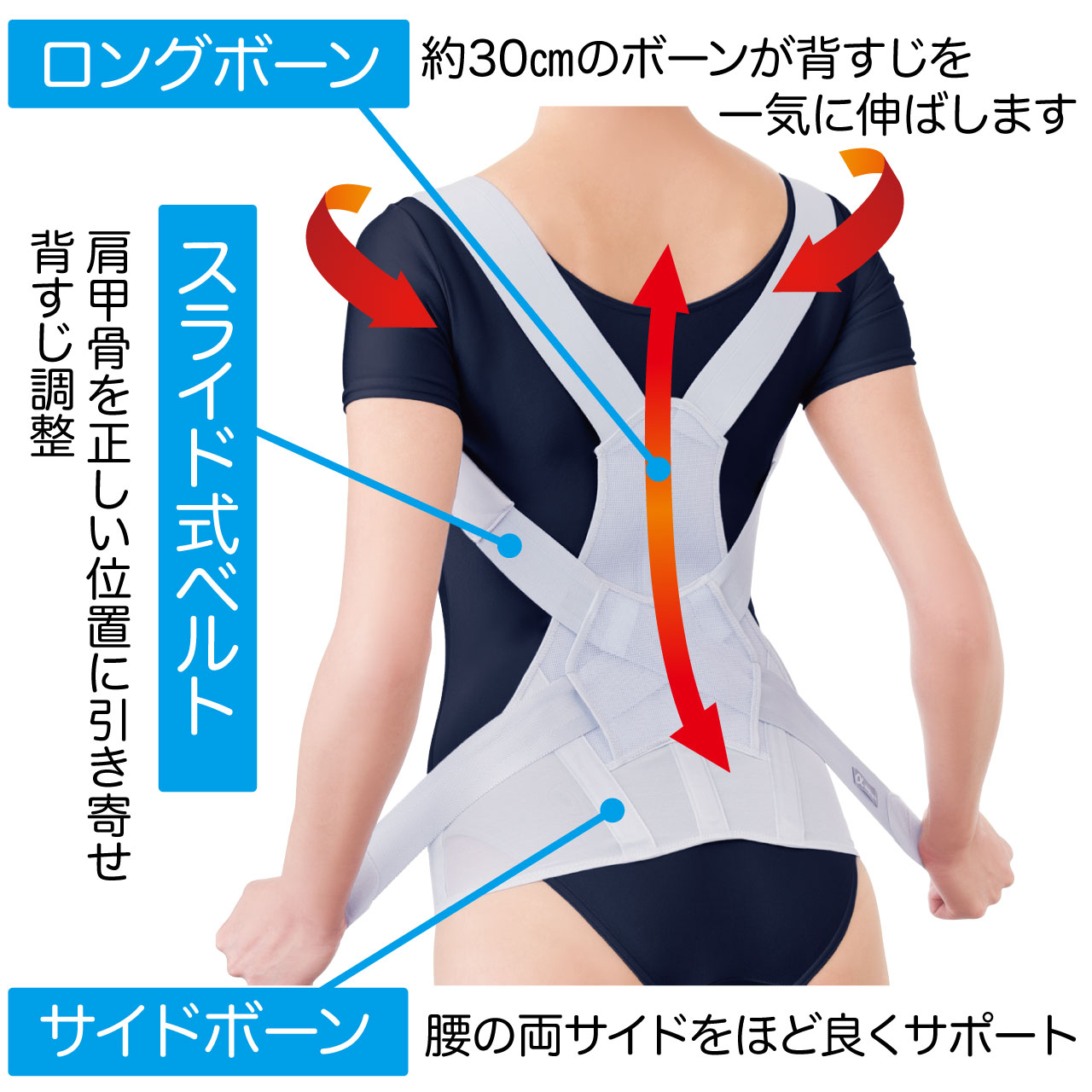 お医者さんのがっちり背筋ベルト 男女兼用 背すじ 腰 肩甲骨 猫背 バストアップ 姿...