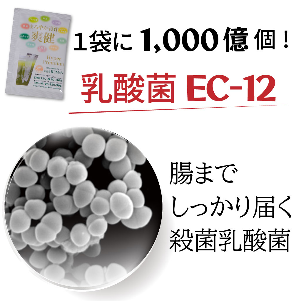まろやか青汁 爽健 Hyper Premium 30袋入 90袋入 大麦若葉 明日葉 桑の葉 乳酸菌 ...