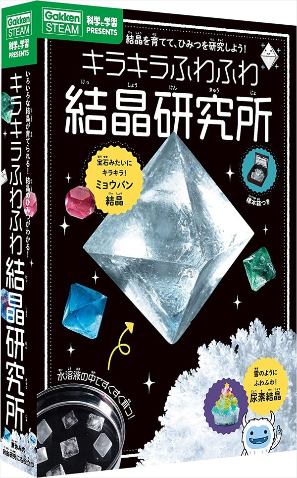 学研ステイフル キラキラふわふわ 結晶研究所 Q750790 科学と実験PRESENTS 実験観察 自由研究 工作 クラフト 2023年継続 [re]