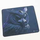 美品 WAIZOWL ワイズオール 梟 ゲーミングマウスパッド FPS eスポーツ ゲーム HY1247 【中古】