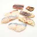 美品 粕漬け 切り身 炭火焼 食品サンプル 7点 食玩 展示用 リアルサイズ 魚介 実物大 HO493 【中古】