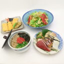 天ぷら 刺身 サラダ じゃこ飯 定食 食品サンプル 4点 セット 展示用 リアルサイズ 実物大 食玩 HO570 【中古】