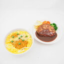 デミハンバーグ かつ丼 食品サンプル 皿盛り用 2点 おまとめセット 食品玩具 展示 ディスプレ HC215 【中古】