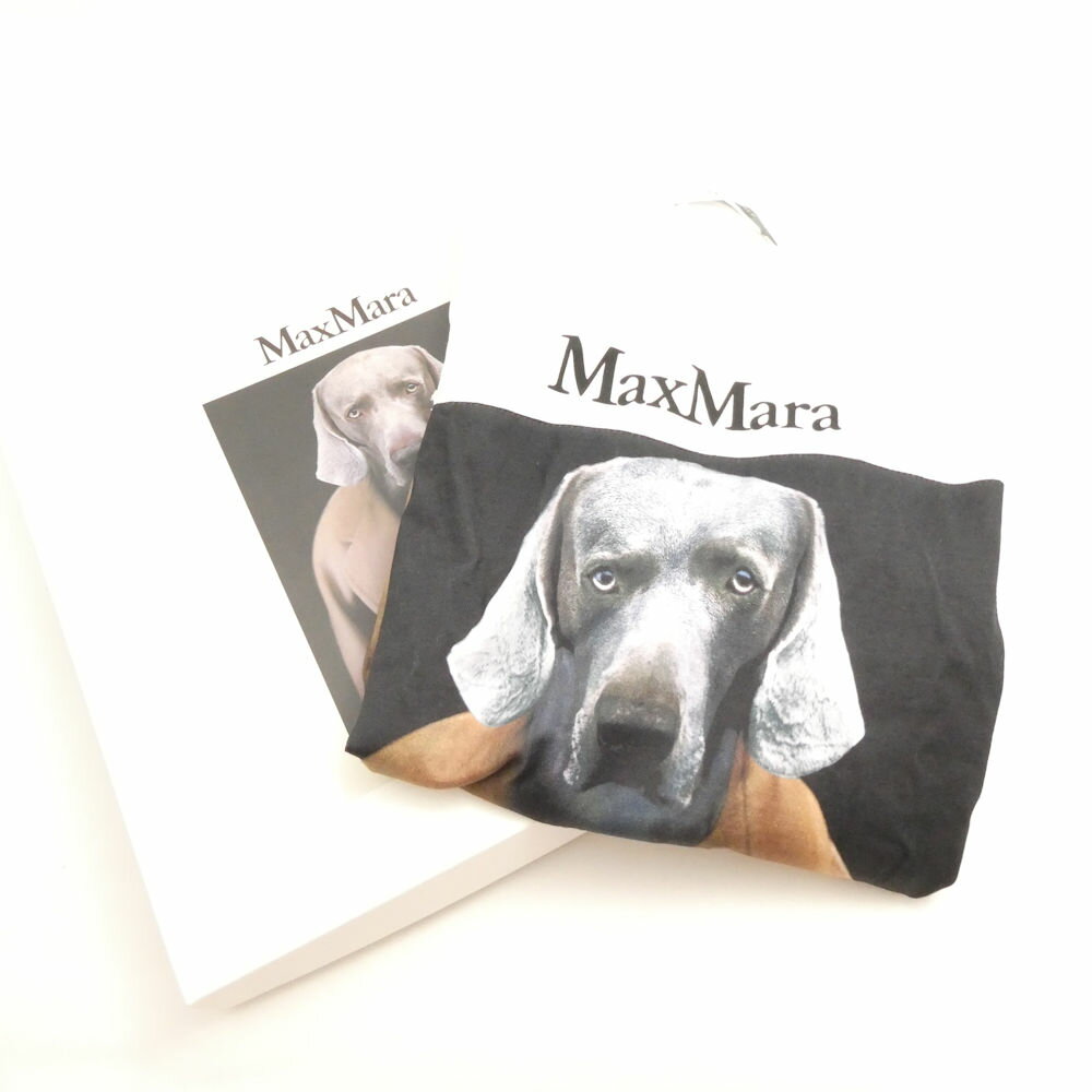  MAXMARA ޥåޡ CIPRIA DOG T XS åȥ100 Ⱦµ ǥ AY7451A87 š