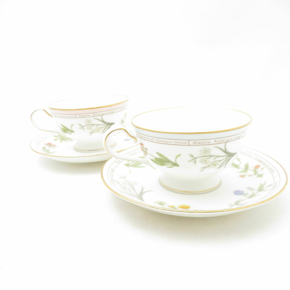 Noritake ノリタケ Von Linnaei リンネ ティーカップ＆ソーサー 2客 ペア 花柄 SC10355G2 【中古】 2