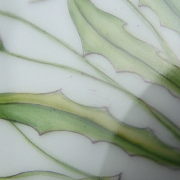 ロイヤルコペンハーゲン フローラダニカ 中皿 1枚 19 5cmプレート 最高級 飾り皿 植物図鑑 Sc965w Remove 店