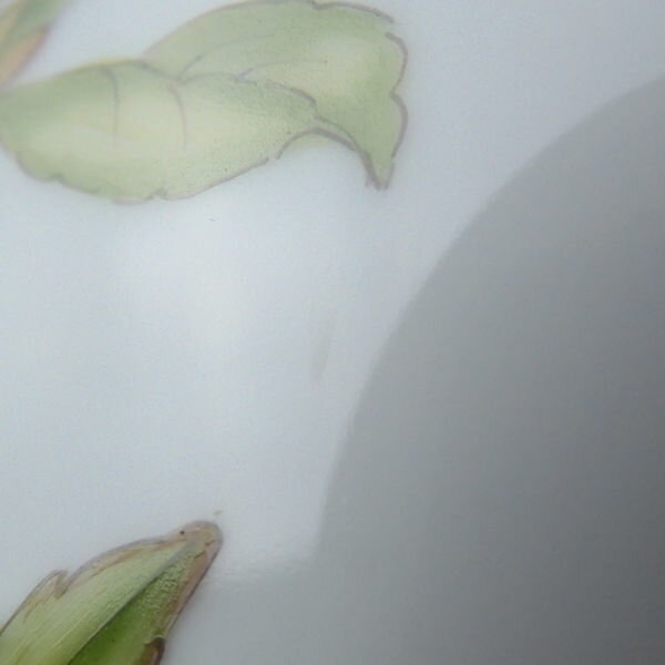 ロイヤルコペンハーゲン フローラダニカ 中皿 1枚 19 5cmプレート 最高級 飾り皿 植物図鑑 Sc966w Remove 店