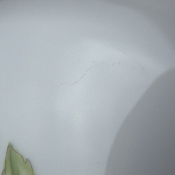 ロイヤルコペンハーゲン フローラダニカ 中皿 1枚 19 5cmプレート 最高級 飾り皿 植物図鑑 Sc966w Remove 店