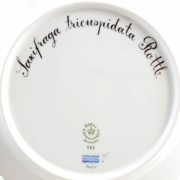 ロイヤルコペンハーゲン フローラダニカ 中皿 1枚 19 5cmプレート 最高級 飾り皿 植物図鑑 Sc968w Remove 店