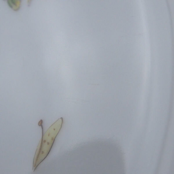 ロイヤルコペンハーゲン フローラダニカ 中皿 1枚 19 5cmプレート 最高級 飾り皿 植物図鑑 Sc968w Remove 店