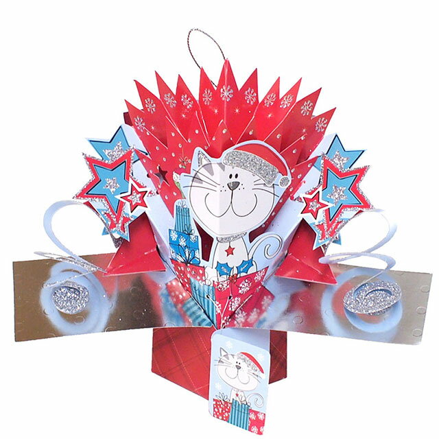 クリスマス 正規代理店【Second Nature】プチポップアップカード キャット グリーティングカード お祝い #XPOPM002