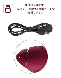 ウーマナイザーデュオWomanizerDuo新型インサイドアウト後継機ドイツ発女性に優しいマッサージャーラブグッズマッサージ器電マ小型女性でんま電動マッサージデンマ電気マッサージ器ハンディバイブ電ママッサージ正規品プレゼントギフト