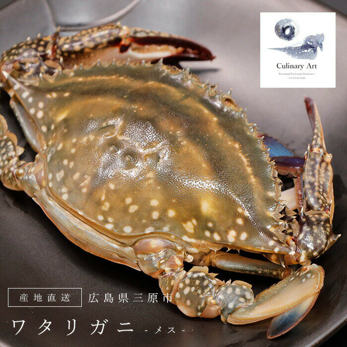 楽天市場 ワタリガニ メス 旬 子持ち 渡り蟹 カニ 蟹 内子 冷蔵 しまなみ 瀬戸内 広島県 特大 天然 活締め 蒸しサービス カニ酢プレゼント カリナリアート みんなのレビュー 口コミ 楽天市場 ワタリガニ メス 旬 子持ち 渡り蟹 カニ 蟹 内子 冷蔵 しまなみ 瀬戸内 広島県 特大 天然 活締め 蒸しサービス カニ酢プレゼント カリナリアート みんなのレビュー 口コミ