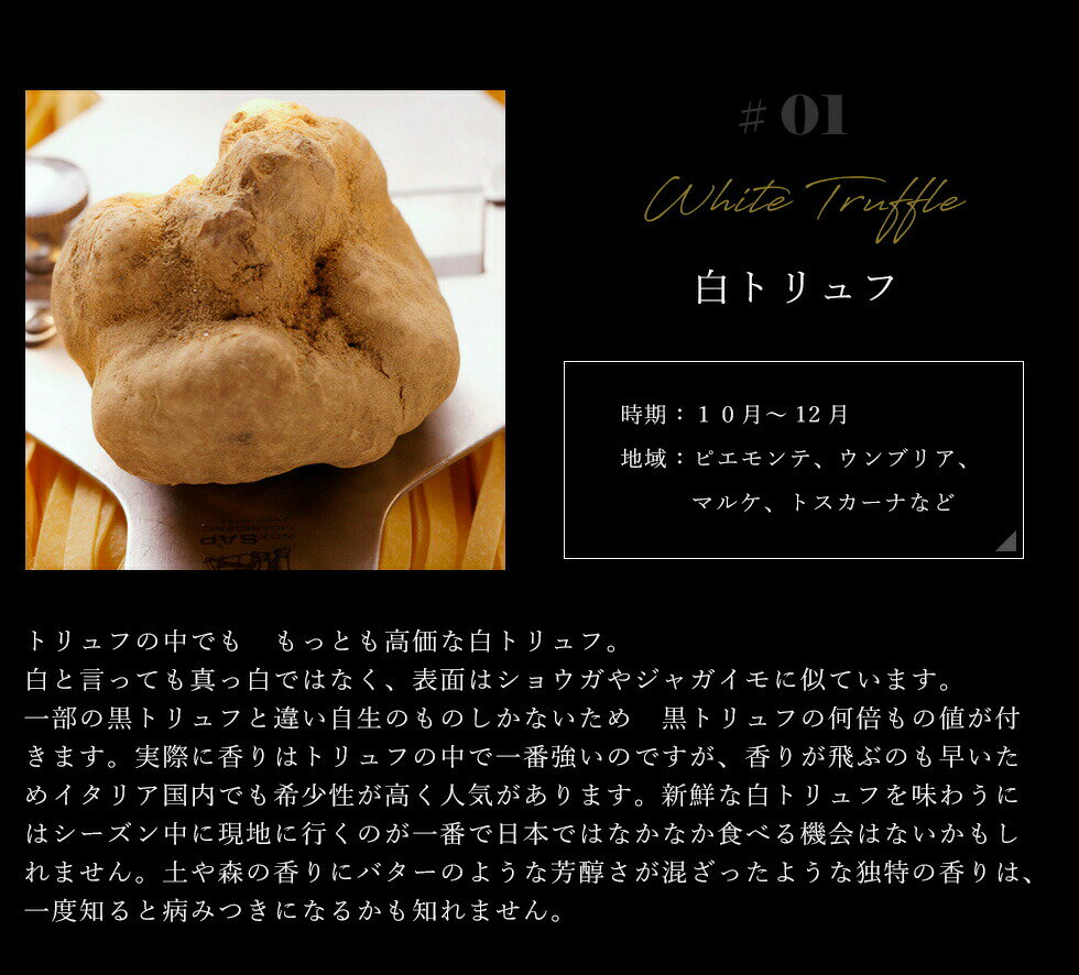 SACCHI白トリュフ塩120gイタリア直輸入ドレッシング珍味輸入食材トリュフグルメ高級食材おうち時間巣篭りプチ贅沢キャンプバーベキュー