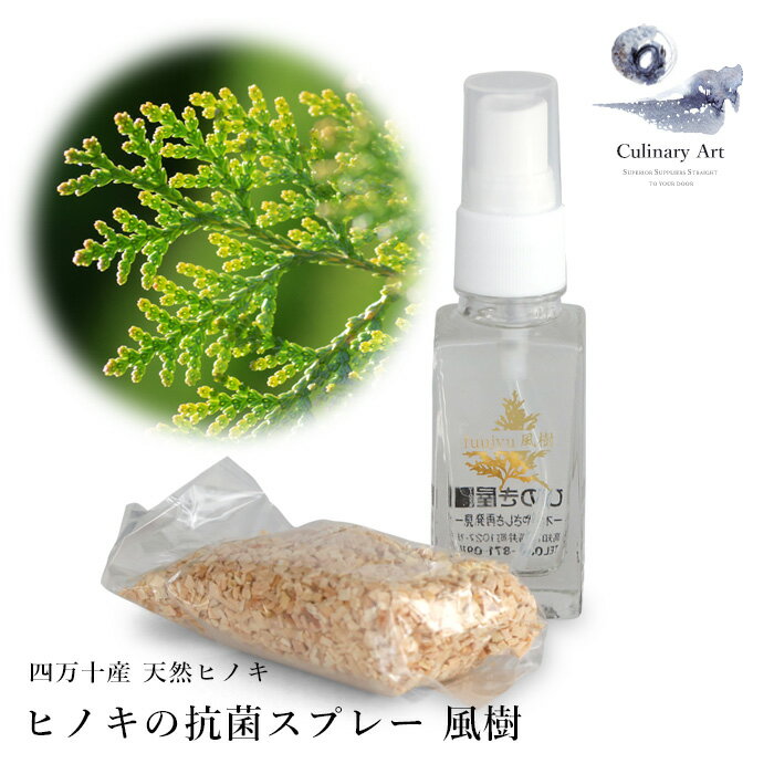 コロナ対策 消臭 抗菌 除菌スプレー 携帯用 30ml 10