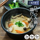 鍋セット ひっつみ鍋 鶏だんご鍋 レンチン 夜食 冷凍 送料無料 温めるだけ レンジで簡単調理 お取り寄せ グルメ 岩手 遠野 郷土料理 銀河亭