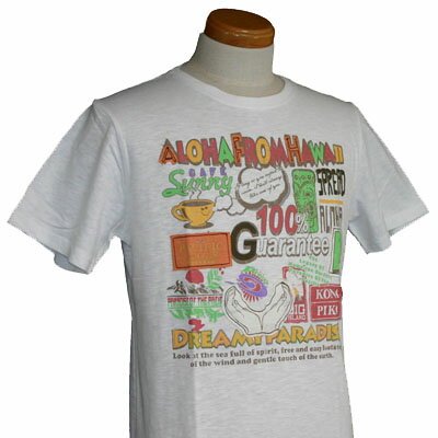 PIKO(ピコ)_メンズ_半袖Tシャツ【ホワイト(COL.01)】_101328495