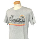 TOWN COUNTRY(タウン＆カントリー)_メンズ_半袖Tシャツ【ミックスグレー(MIX GRAY)】_DM6083