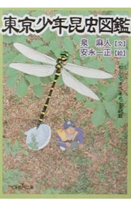 Zoology - 【中古】東京少年昆虫図鑑 / 泉麻人