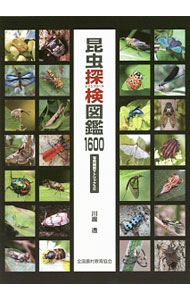 Zoology - 【中古】昆虫探検（エクスプローラ）図鑑1600 / 川辺透