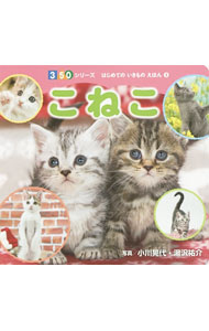 Picture-Book - 【中古】こねこ / 小川晃代 (単行本)