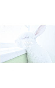 &nbsp;&nbsp;&nbsp; White の詳細 発売元: その他発売会社 アーティスト名: T／ssue カナ: ホワイト WHITE / ティシュー T/SSUE ディスク枚数: 1枚 品番: RCMN1001 発売日: 2015/10/07 曲名Disc-11.　イノセント2.　November3.　静かな午後に4.　東京city5.　余命宣告ストーリー6.　Yui 関連商品リンク : T／ssue その他発売会社