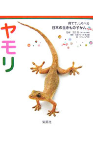 【中古】育てて、しらべる　日本の生きものずかん(10)−ヤモリ− / 疋田努【監修】 (単行本)