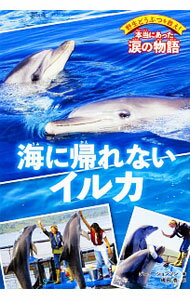【中古】海に帰れないイルカ / JohnsonJinny