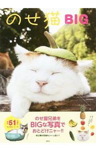 &nbsp;&nbsp;&nbsp; のせ猫BIG 単行本 の詳細 出版社: 宝島社 レーベル: 作者: Shironeko カナ: ノセネコビッグ / シロネコ サイズ: 単行本 ISBN: 4800276278 発売日: 2017/09/01 関連商品リンク : Shironeko 宝島社