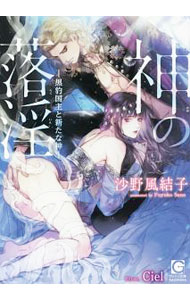【中古】神の落淫−黒豹国主と新たな神−（神触手シリーズ2） / 沙野風結子 ボーイズラブ小説 (文庫)