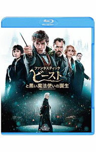[중고] [Blu-ray] 환상적인 비스트와 검은 마법사의 탄생 블루 레이 & DVD 세트 / 데이비드 예츠 [감독]