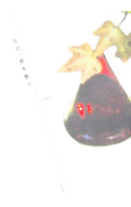 &nbsp;&nbsp;&nbsp; ただ、君を想う 単行本 の詳細 出版社: 新風舎 レーベル: 作者: rinko カナ: タダキミヲオモウ / リンコ サイズ: 単行本 ISBN: 4797472693 発売日: 2006/02/25 関連商品リンク : rinko 新風舎