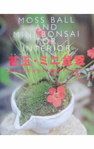 【中古】苔玉・ミニ盆栽 / 砂森聡