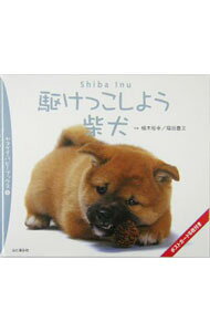 &nbsp;&nbsp;&nbsp; 駆けっこしよう柴犬 単行本 の詳細 出版社: 山と渓谷社 レーベル: 作者: 植木裕幸 カナ: カケッコシヨウシバイヌ / ウエキヒロユキ サイズ: 単行本 ISBN: 4635596338 発売日: 2005/01/01 関連商品リンク : 植木裕幸 山と渓谷社
