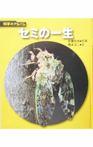 【中古】セミの一生 / 佐藤有恒