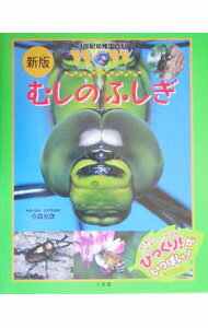 【中古】むしのふしぎ / 今森光彦