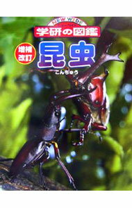 【中古】昆虫 / 学研 (単行本)