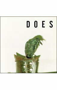 Other - 【中古】明日はくるのか / DOES