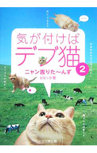 &nbsp;&nbsp;&nbsp; 気が付けばデブ猫 2 単行本 の詳細 出版社: 恒星社厚生閣 レーベル: 作者: ビビック カナ: キガツケバデブネコ / ビビック サイズ: 単行本 ISBN: 9784769910718 発売日: 2007/12/01 関連商品リンク : ビビック 恒星社厚生閣