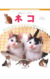【中古】ネコ / 大野瑞絵