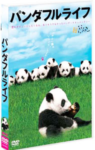 【中古】パンダフルライフ / 菅野美穂【ナレーション】