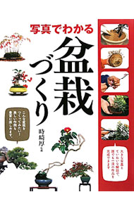 【中古】写真でわかる盆栽づくり / 時崎厚