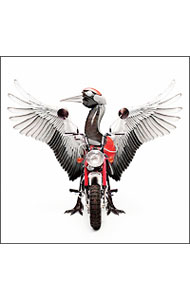 【中古】【CD＋DVD】つるばむ / つるの剛士