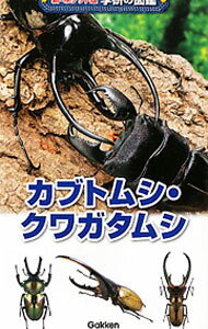 【中古】カブトムシ・クワガタムシ　【増補改訂版】 / 学研教育出版 (単行本)